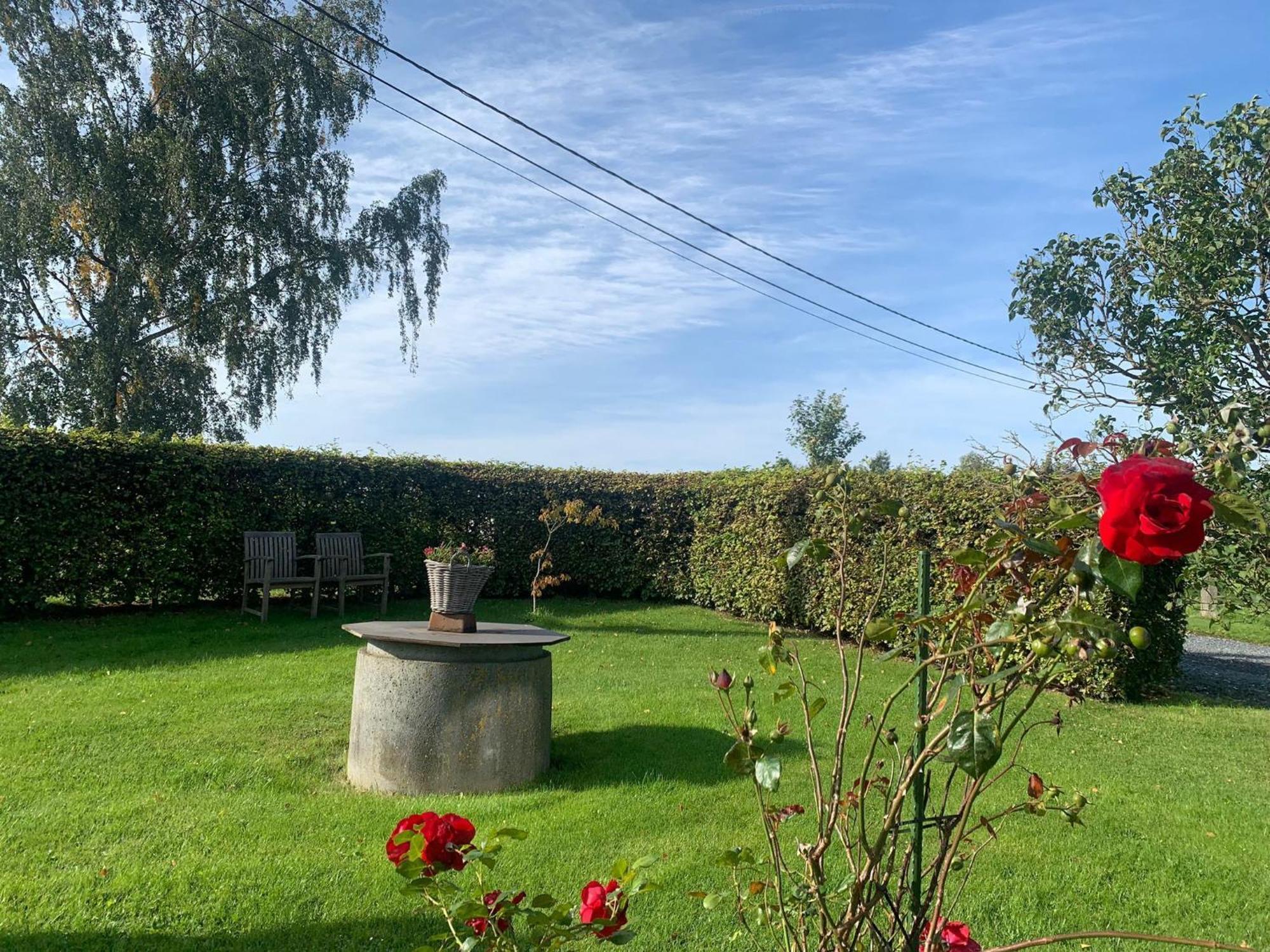 Pretty Farmhouse In Houffalize With Courtyard Kültér fotó