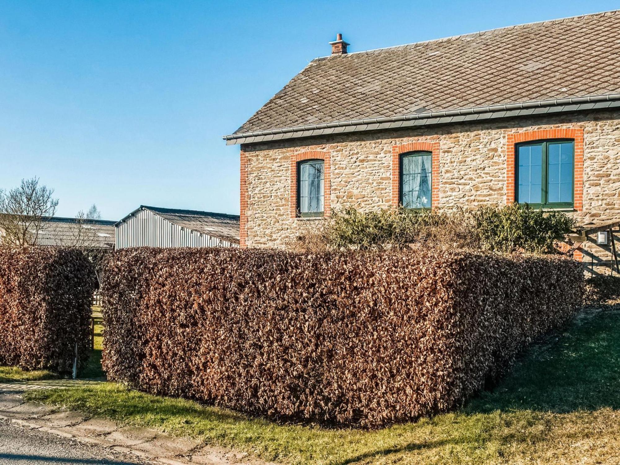 Pretty Farmhouse In Houffalize With Courtyard Kültér fotó